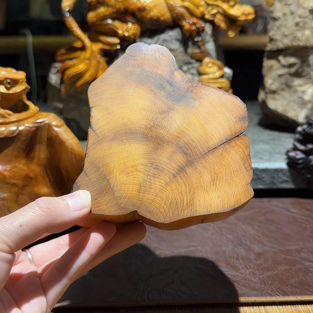 柏木（崖柏）太行集团