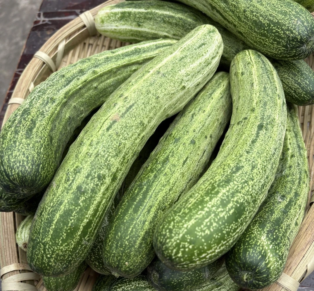 梁平蔬果珍选重庆农家自种现摘现发新鲜黄瓜
