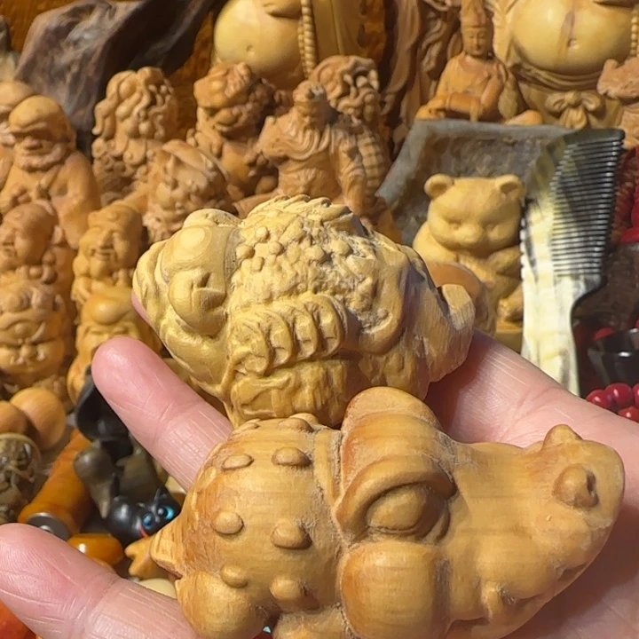 黄杨木木木木木木木木