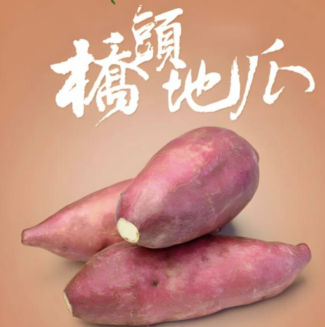 桥头地瓜 约1.5斤左右