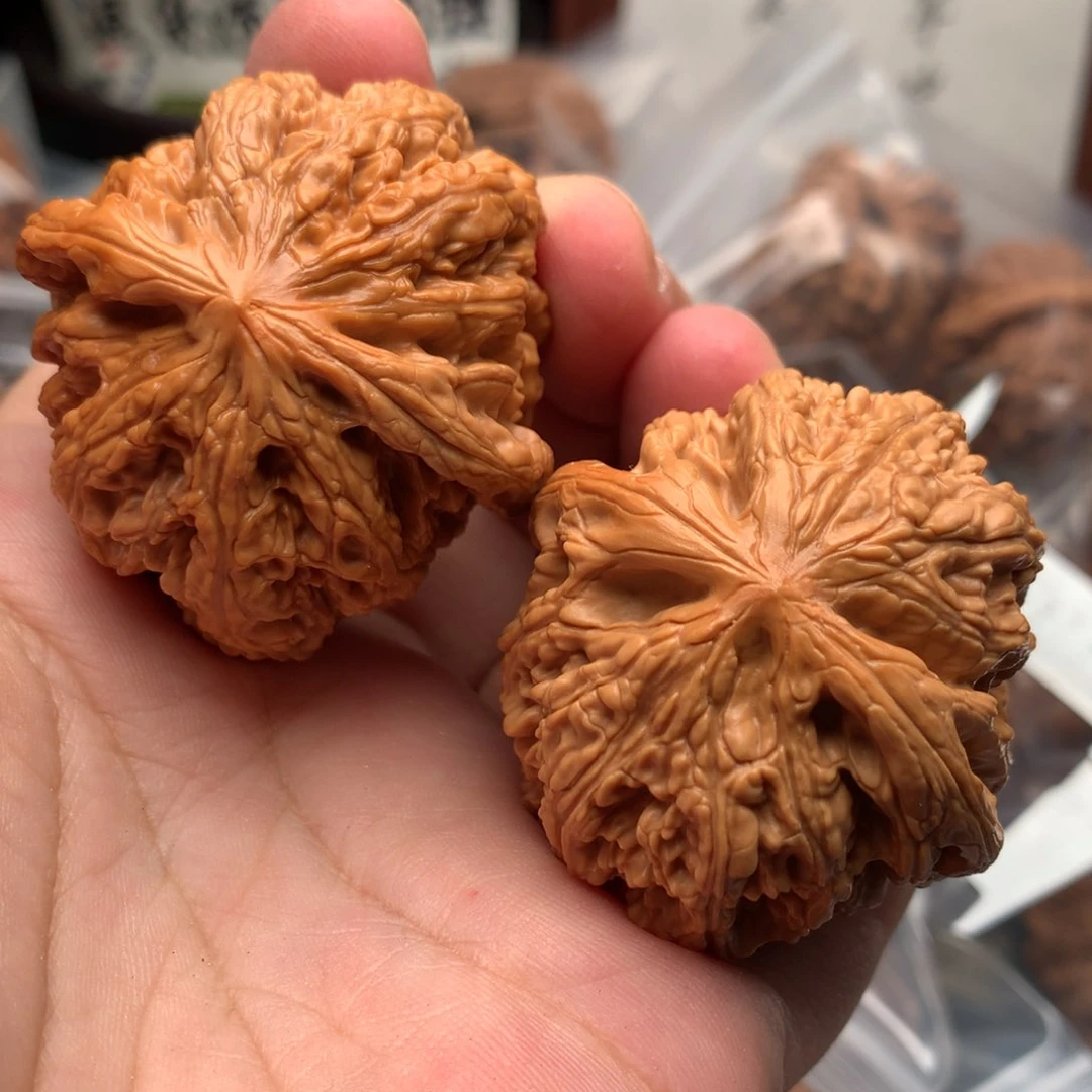 把件文玩核桃兰*粗筋70