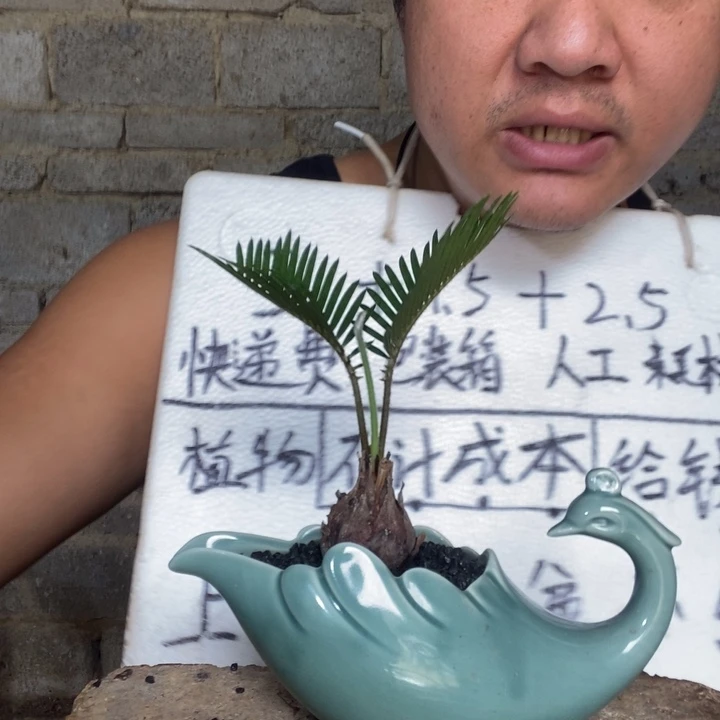 退款拉黑一物一拍239