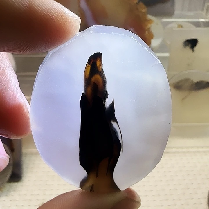 玛瑙/玉髓未镶嵌珠宝奇石