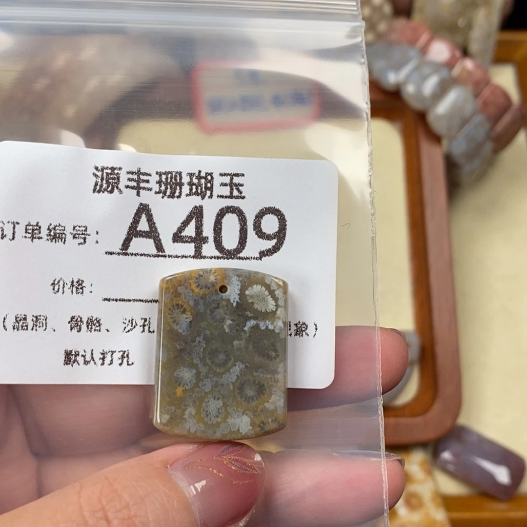 木***雷硅化玉未镶嵌颈饰