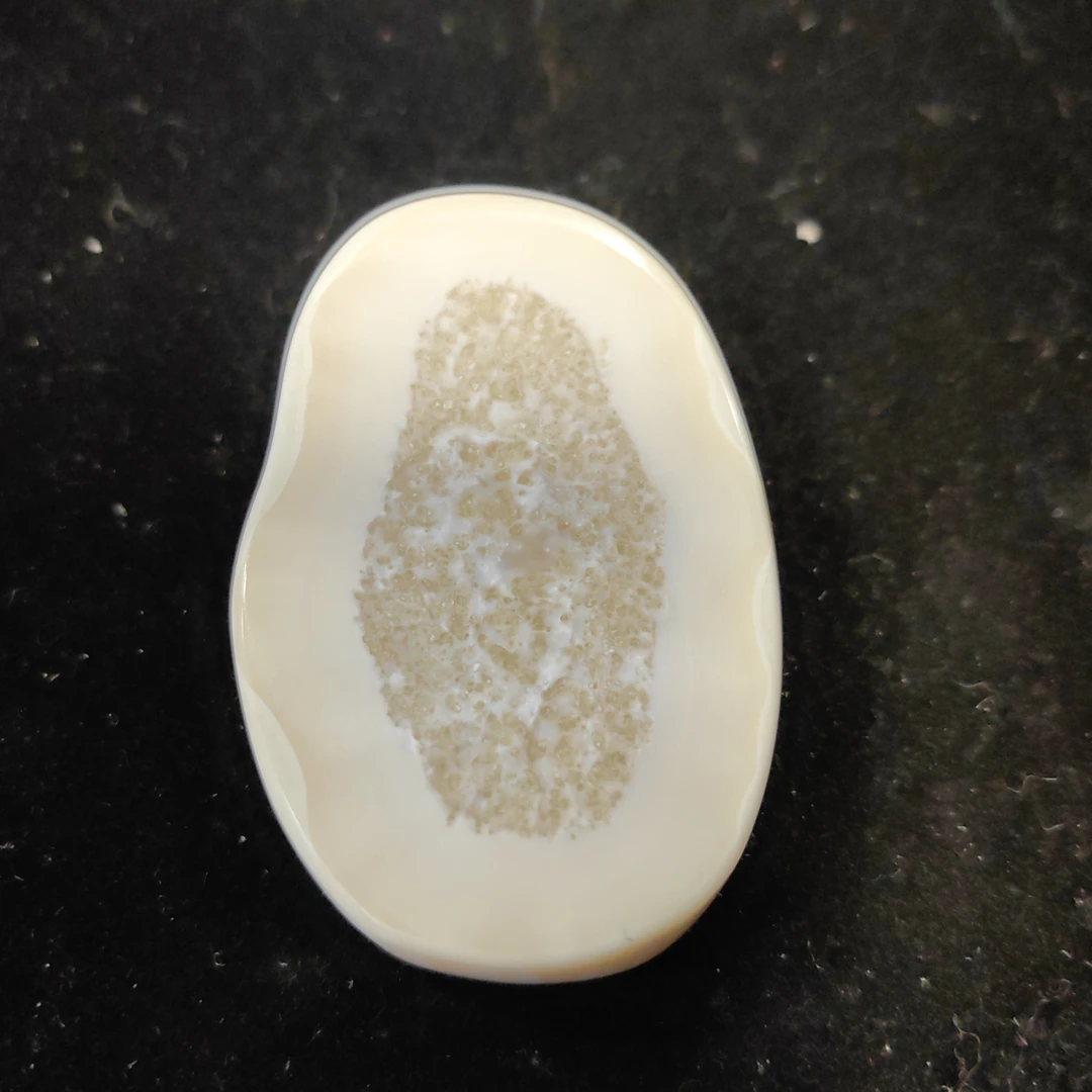 猛犸猛犸虬饼子WW991