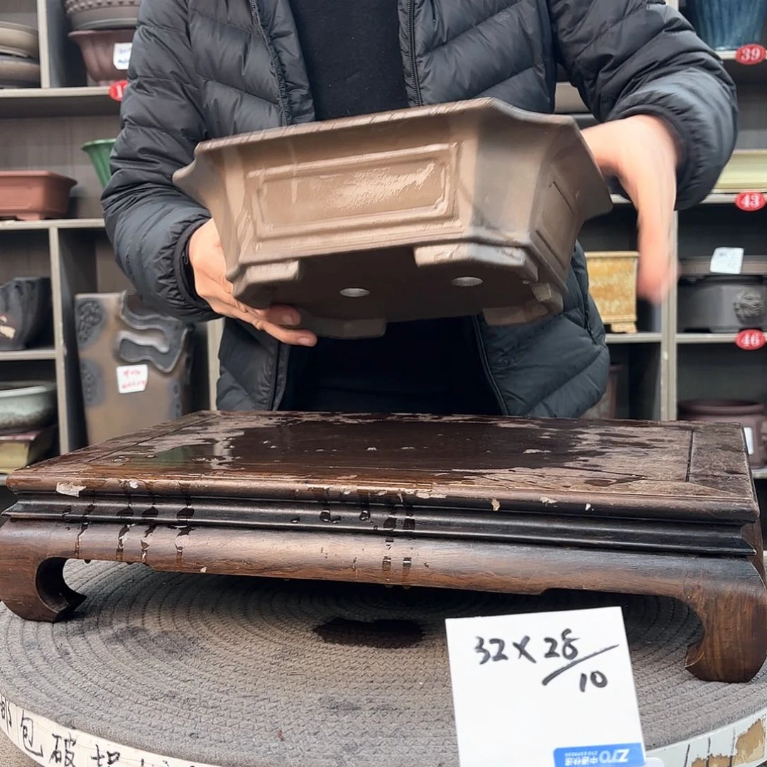 紫砂花盆星*紫砂的花也