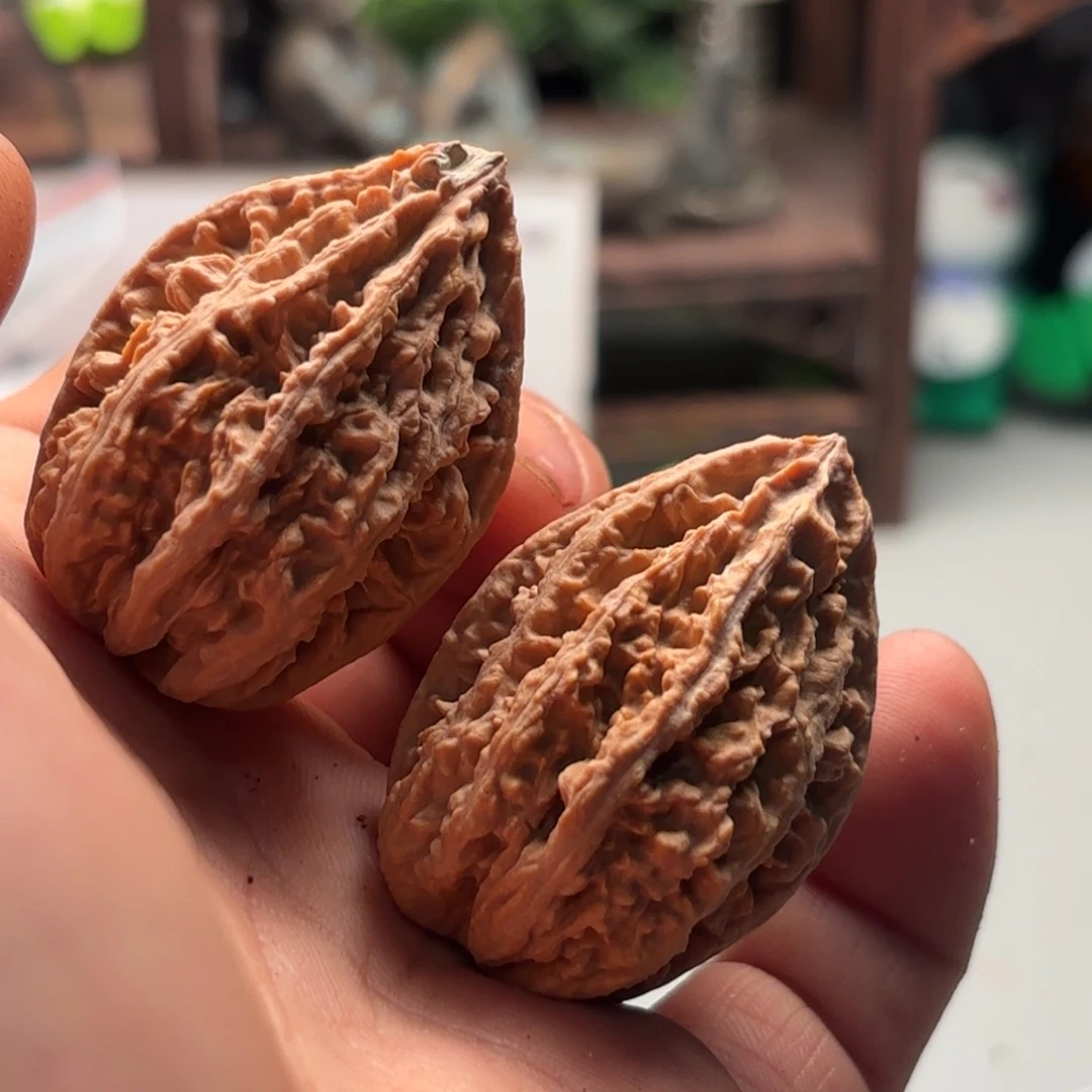 把件文玩核桃小蛙蛙196