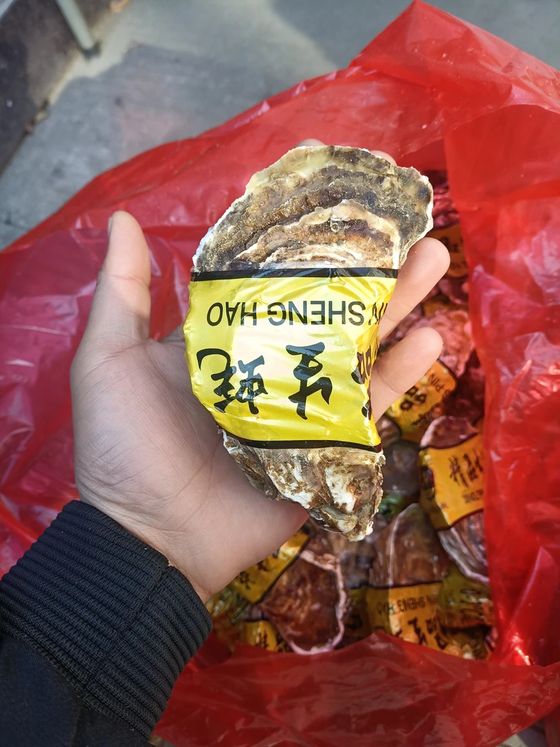 新鲜生蚝（5+）单个5两左右   5斤装