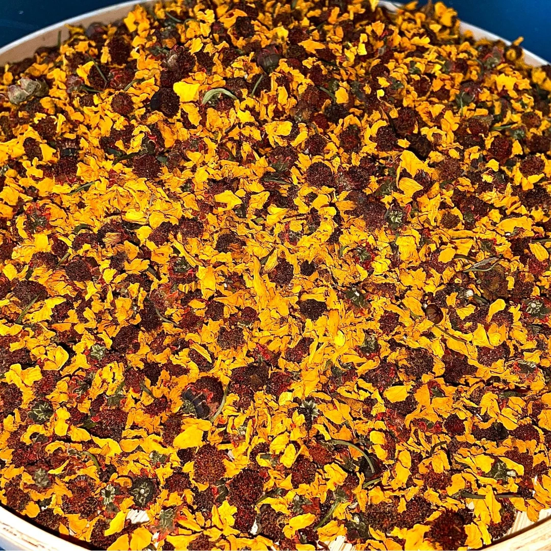 【农乡阁甄选】雪菊