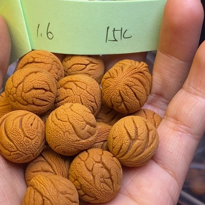 吊坠桃核秦岭龙纹桃核16尺寸