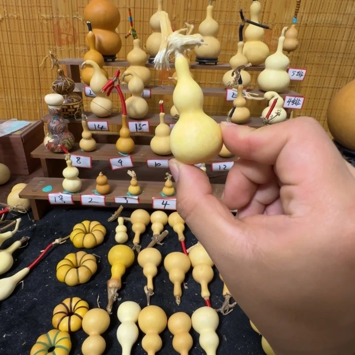 葫芦笙和一首小歌50