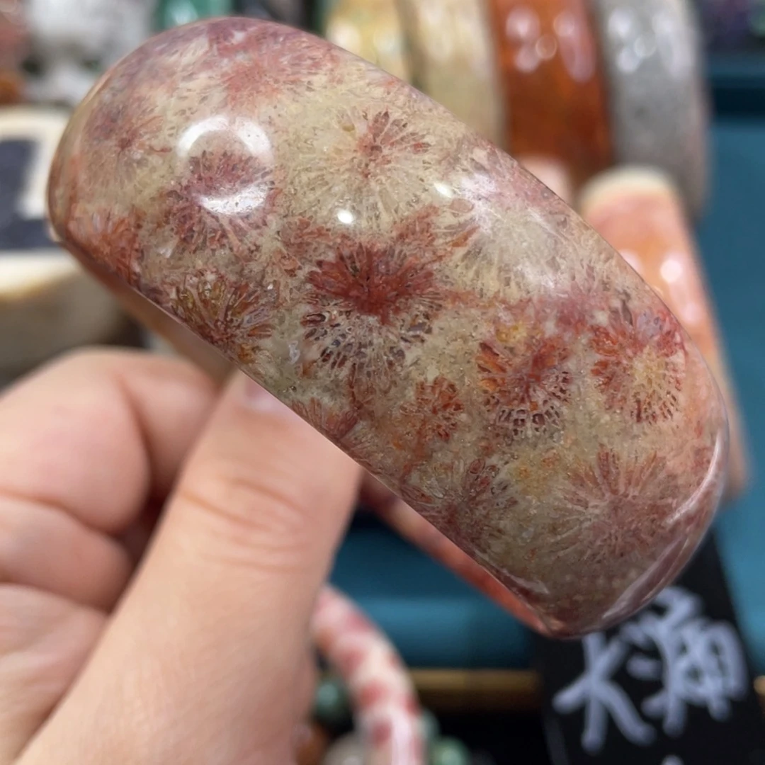 未镶嵌手镯硅化玉