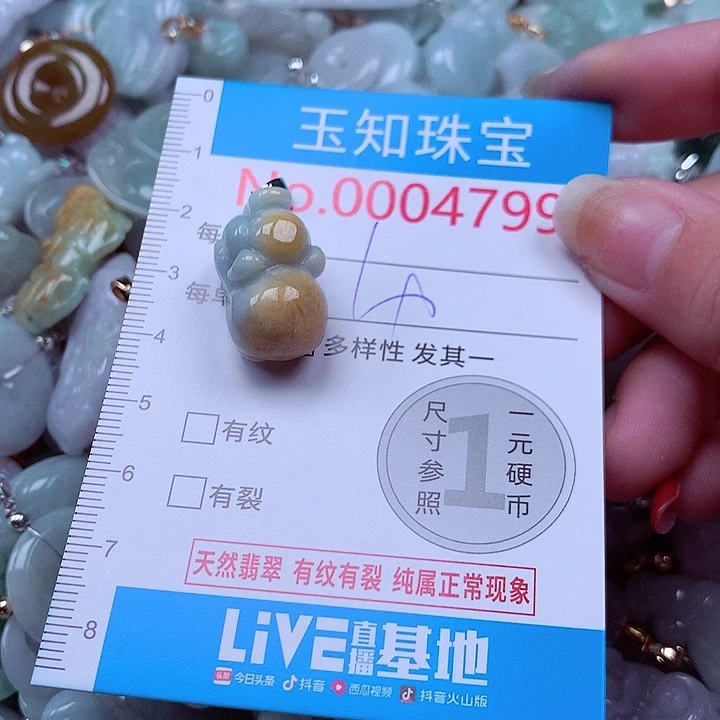翡翠未镶嵌颈饰4799
