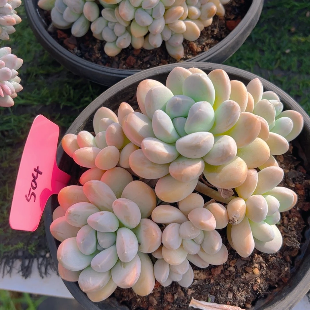 福利来了来了来了