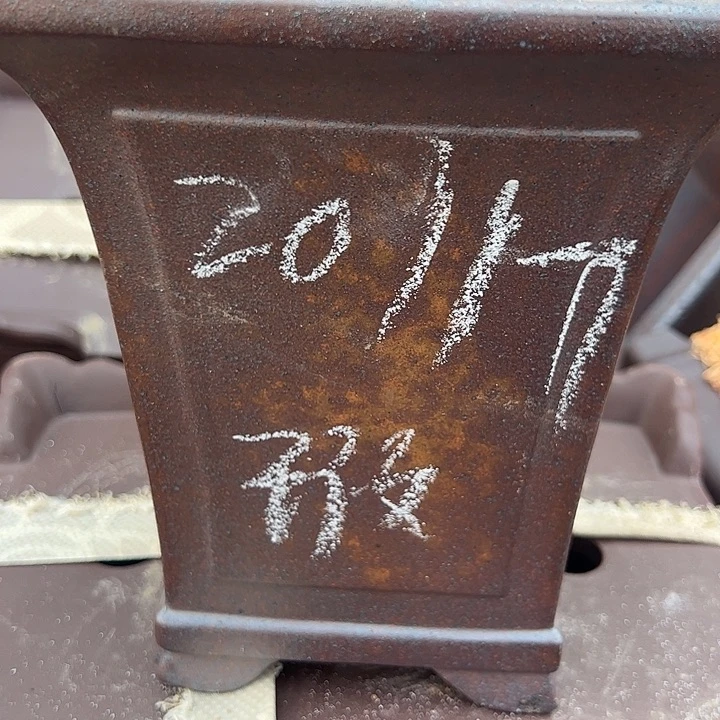 阻塞看看好要下车下车瑕疵