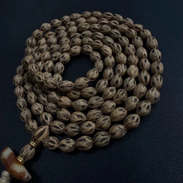 热振一哥《尸坨林.万冥》定制级百香籽