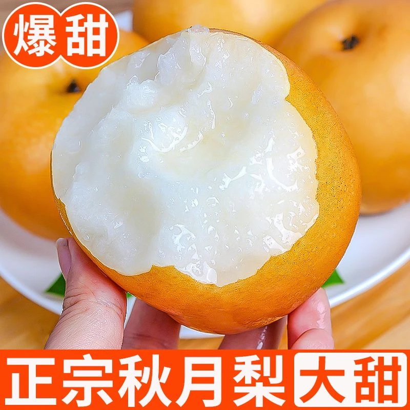 【皮薄多汁】正宗山东秋月梨新鲜梨子买3斤送2斤包邮