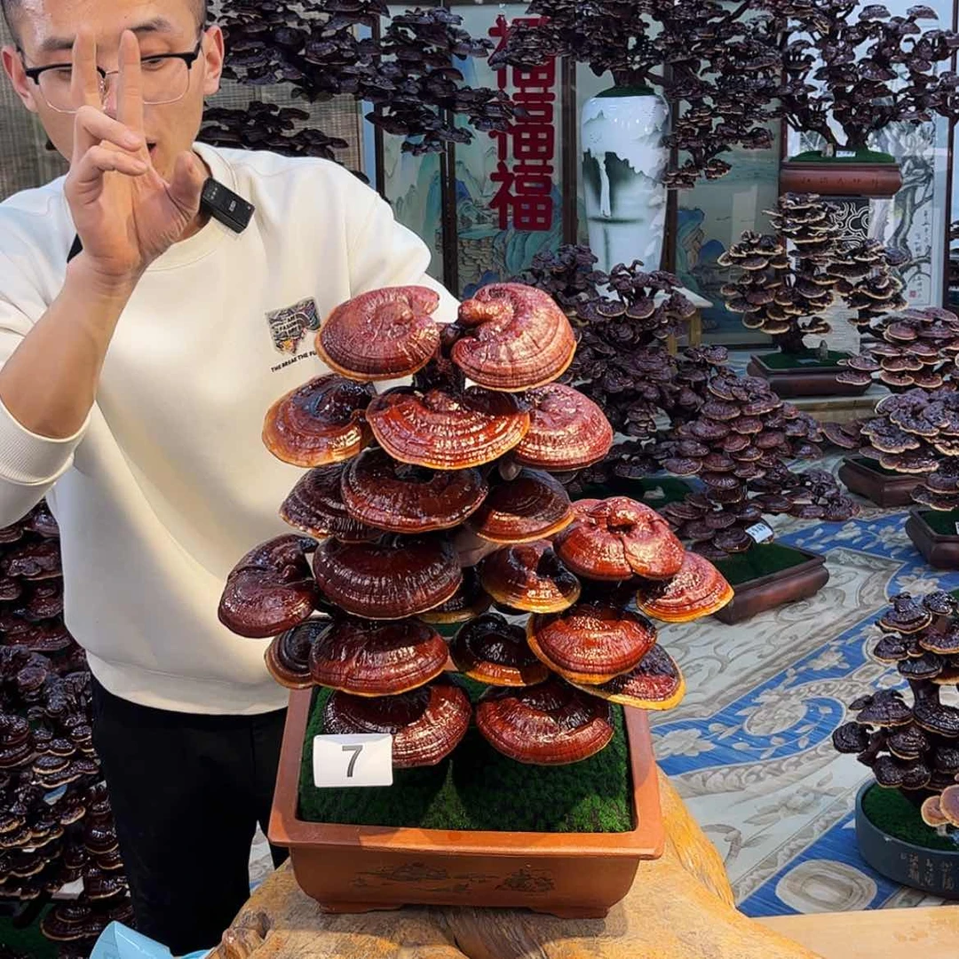 【闪购商品】88888