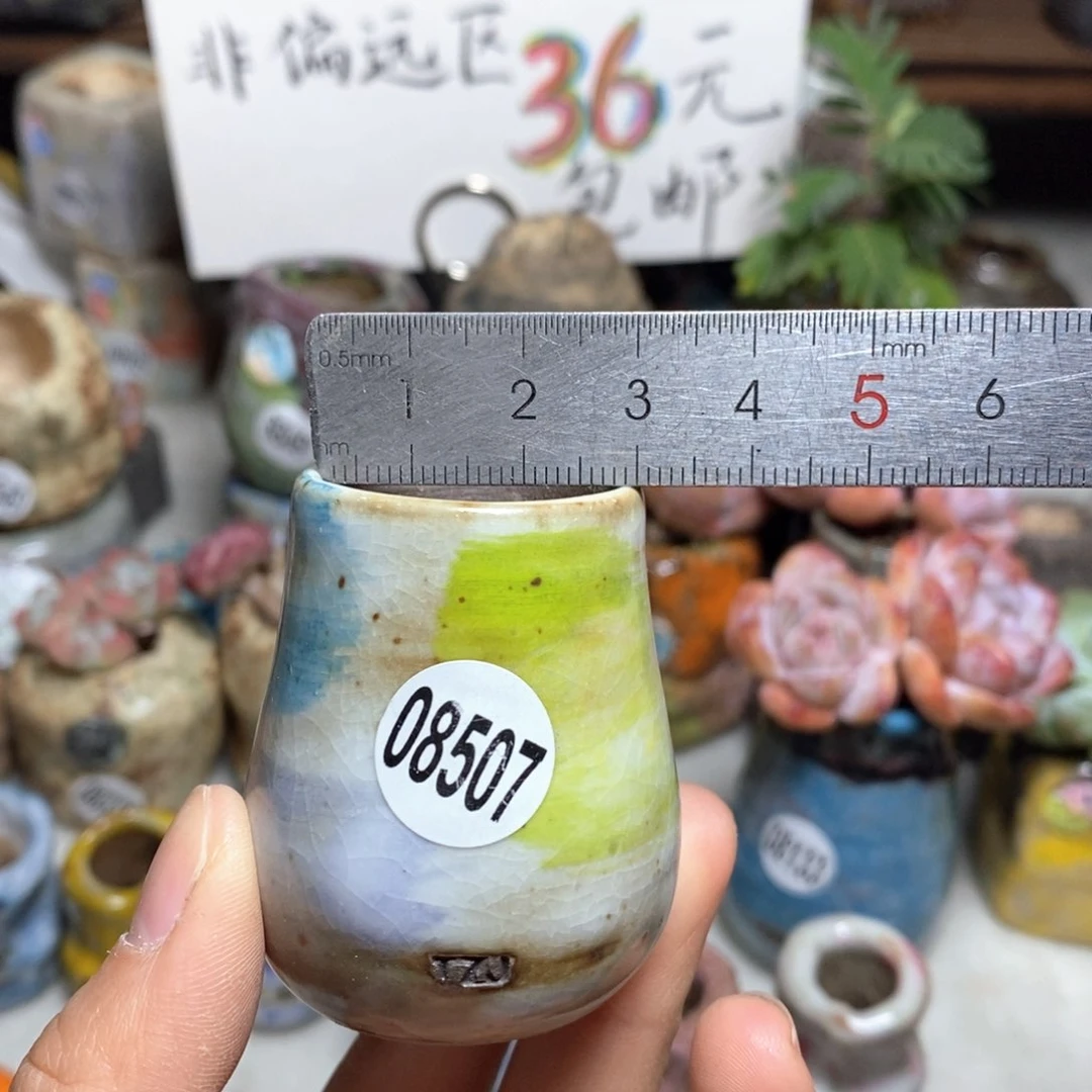 花盆拍5送一个小礼物