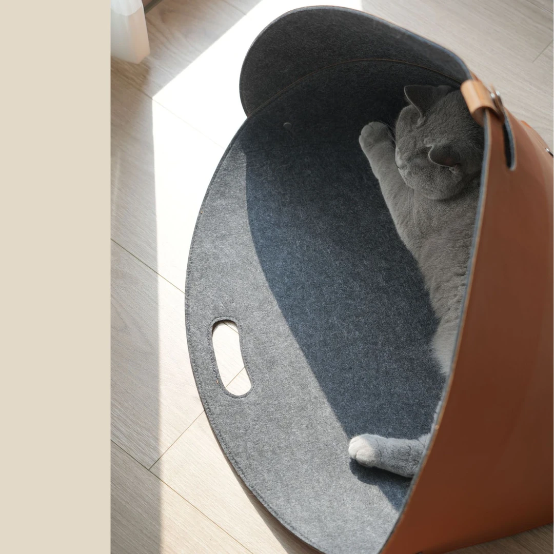 【皮革版】毕加宠物包