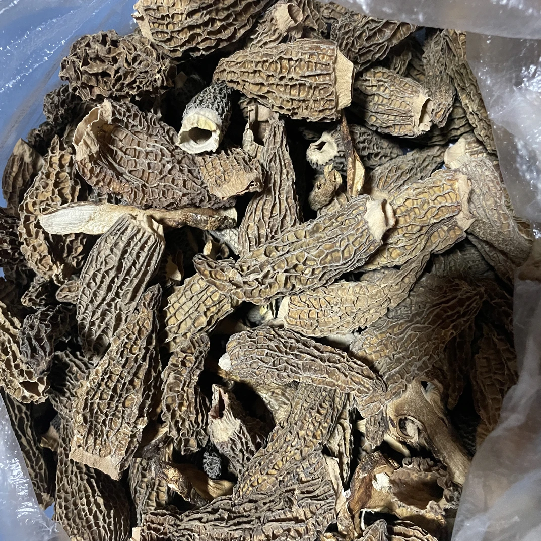 云南深山自然晒干羊肚菌干货营养丰富煲汤佳品