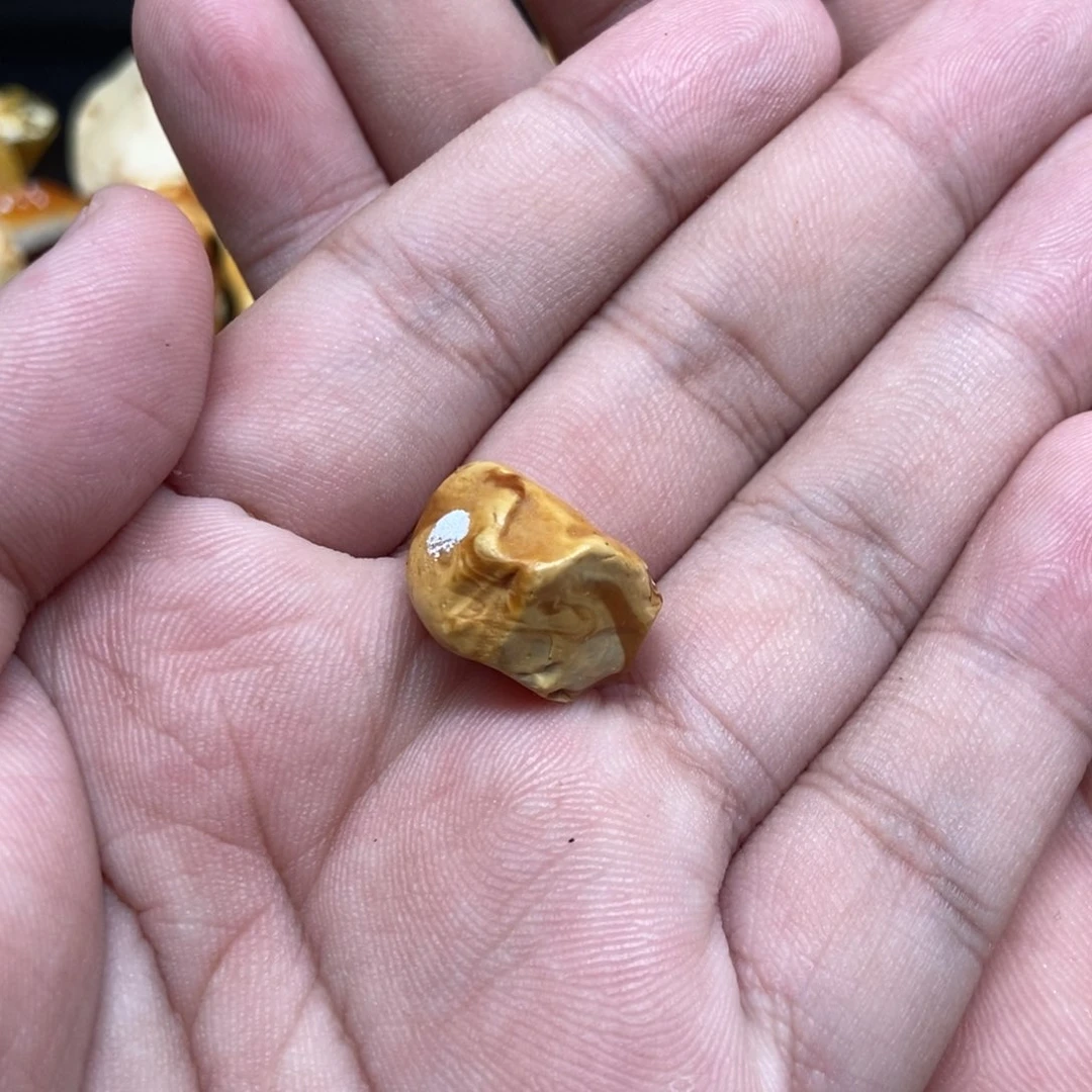 定制琥珀未镶嵌仙****花定制