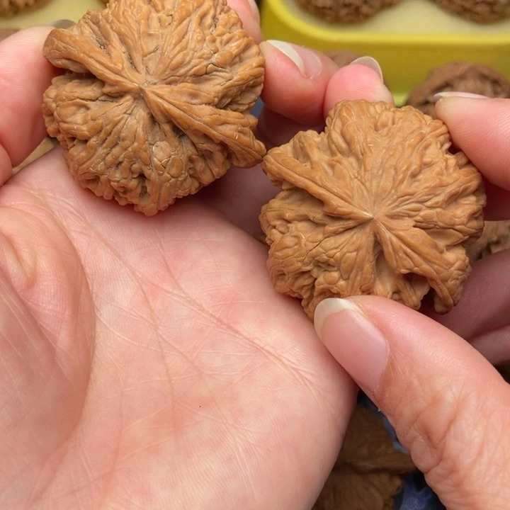 手串/手链核桃粗筋