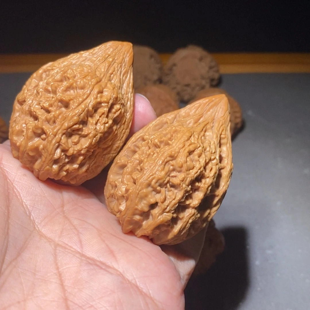 菩提籽类鸭嘴大沽石全品