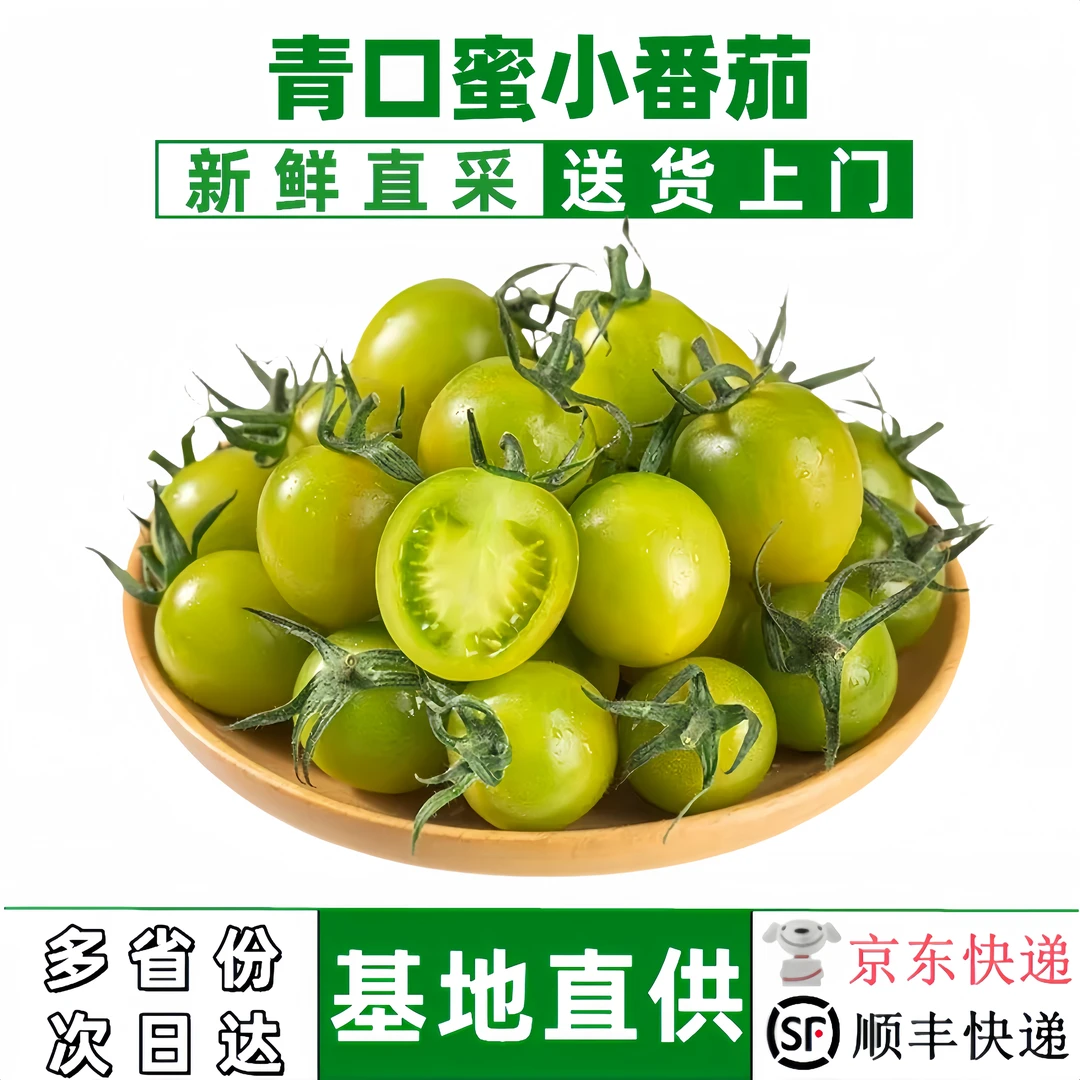 青口蜜绿千禧绿色圣女果新鲜现摘京东/顺丰快递皮薄爆汁非纯甜