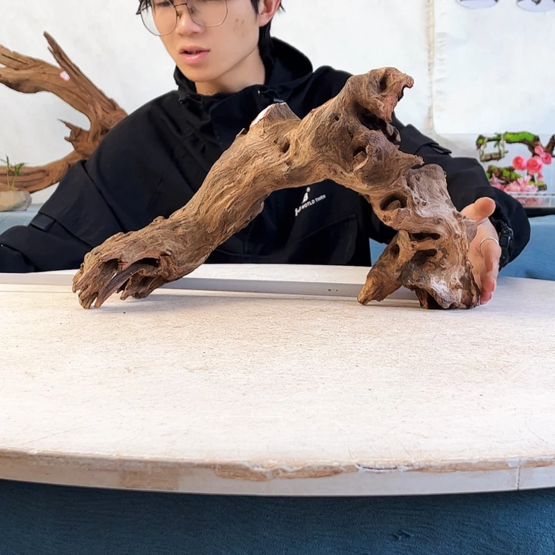 40.21.23 沉木造景爬宠造景