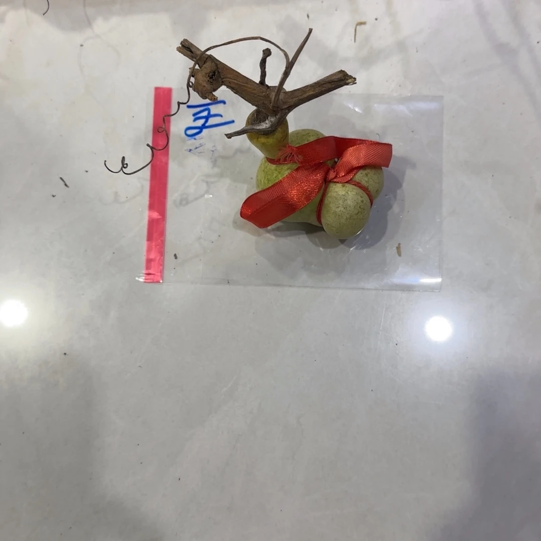 美***人青皮不包成青皮不包成
