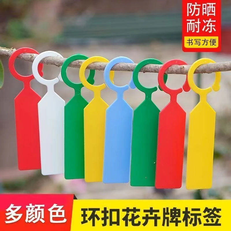 园艺标签牌环扣塑料防水苗木葡萄果树授粉标记藤曼分类色卡悬挂式