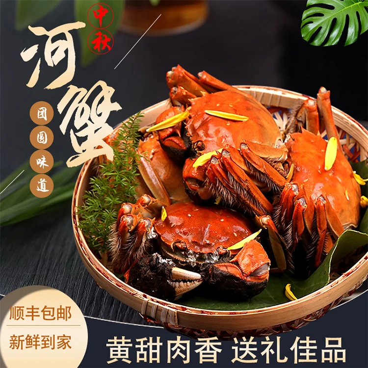 {活蟹}盘锦河蟹母蟹1.6-1.9两，12只，顺丰包邮