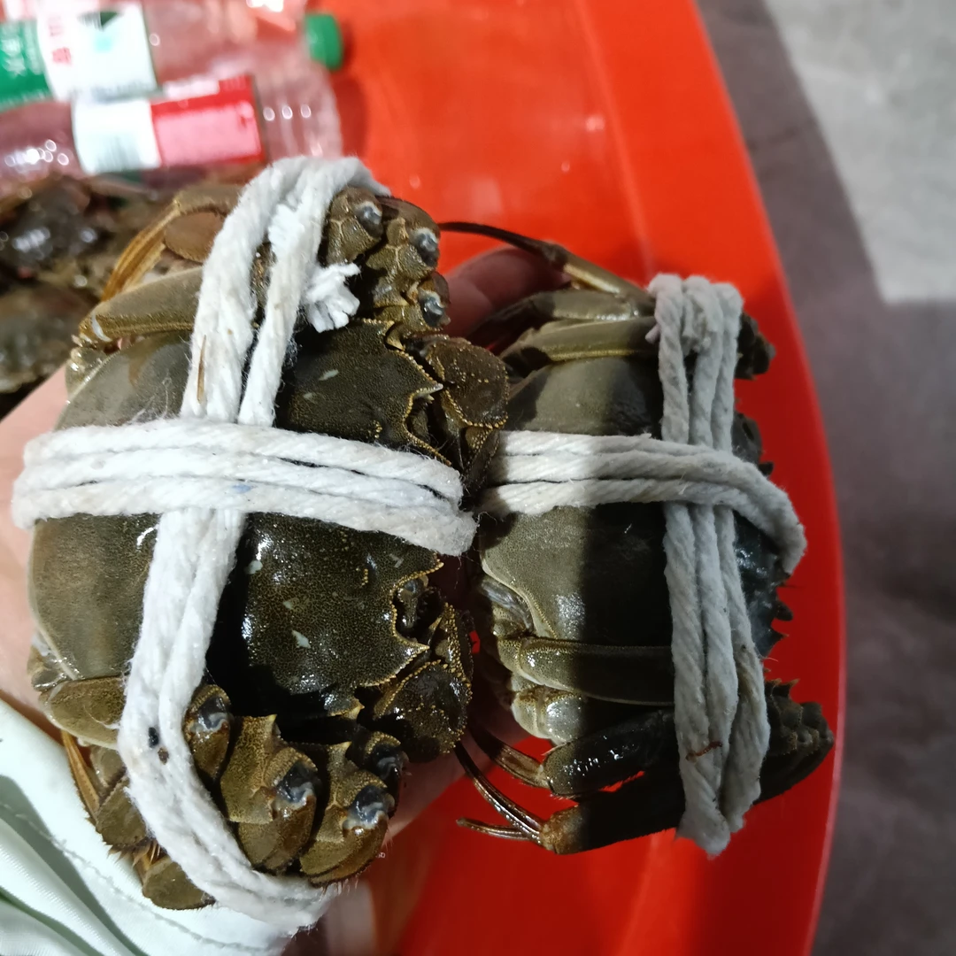 兴义周记水产鲜活大闸蟹85买5只(2.5母蟹)同城配送