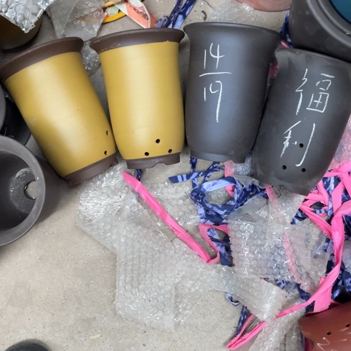 周深周深周深周深周深