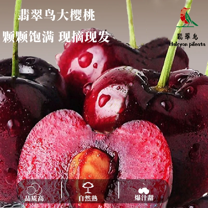 现摘空运包邮【山东美早大樱桃】2～5斤J中大特果直发