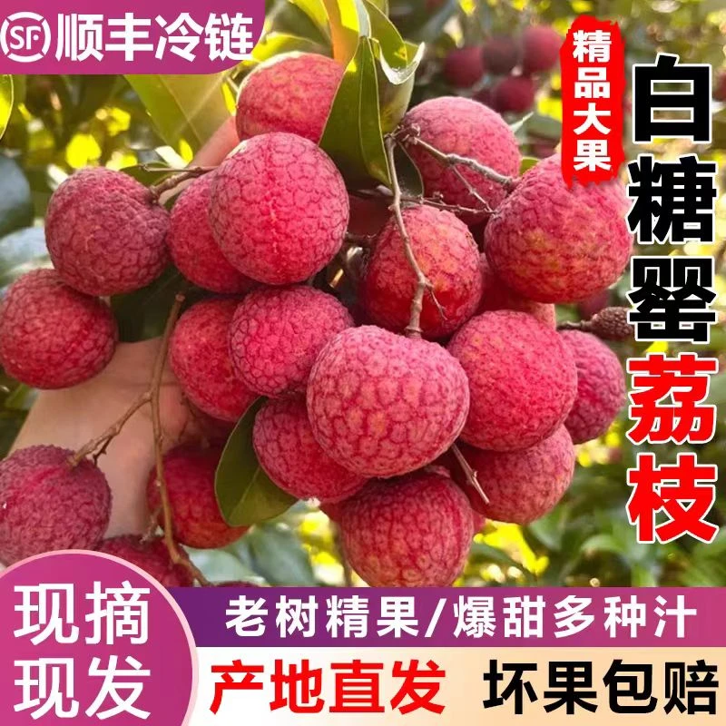 【顺丰包邮】【次日达】正宗海南空运白糖罂鲜果荔枝新鲜现摘现发1-8斤海南省