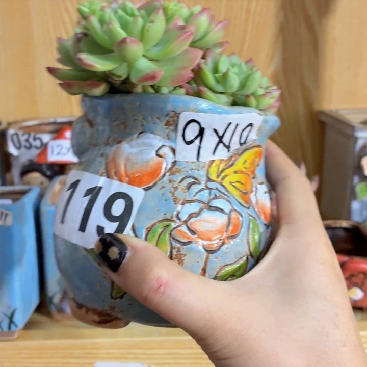 多肉花盆满15包邮