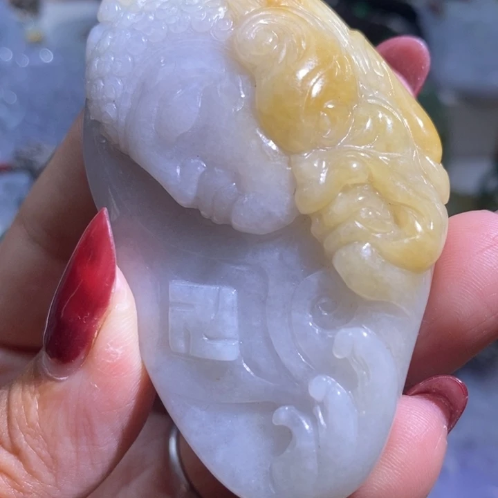 【闪购商品】翡翠未镶嵌颈饰一念