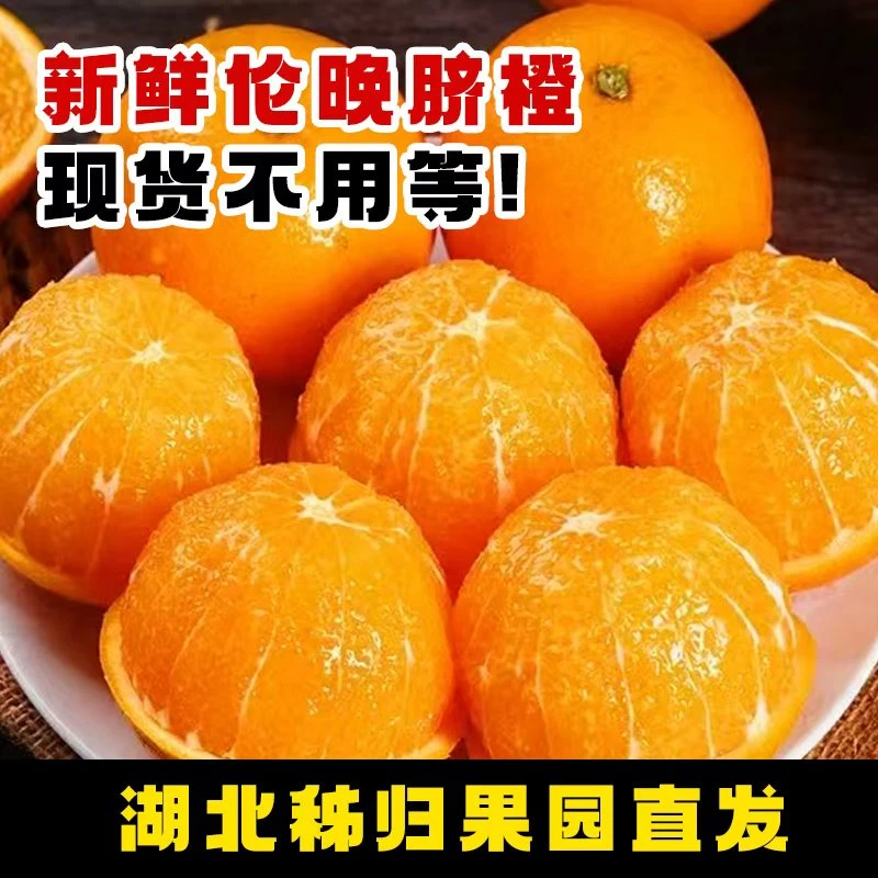 舅舅家正宗伦晚脐橙秭归橙子当季新鲜水果整箱专果纯甜无酸