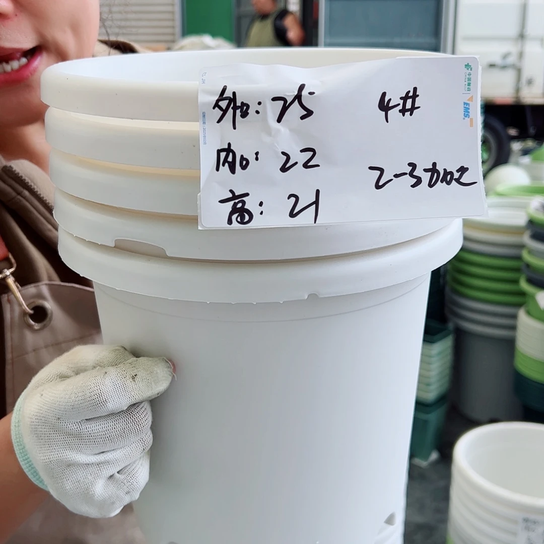 瑕疵四季盆4#白色6个无托