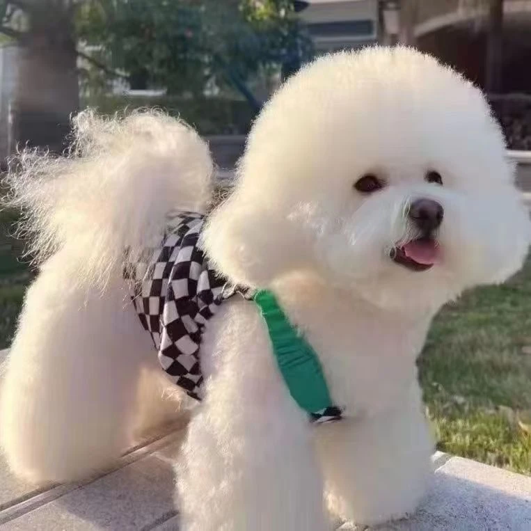 宠物狗活体通用链接