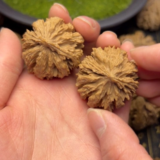 文玩核桃把件秦岭核桃18