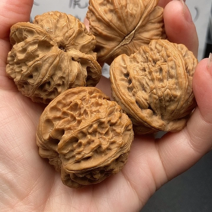 王***可大大大大大大狮子苹果磕尖