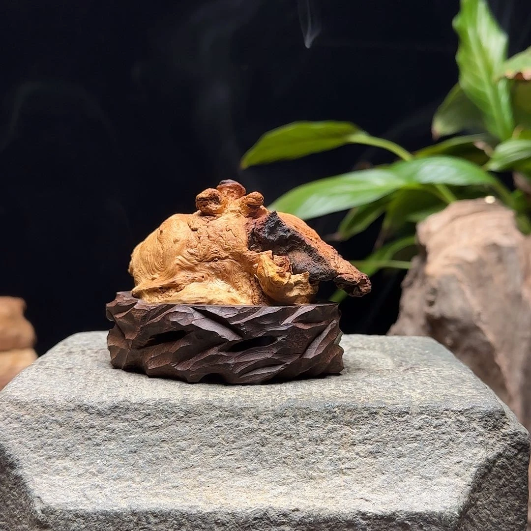 初***三荔枝木香炉香炉香炉