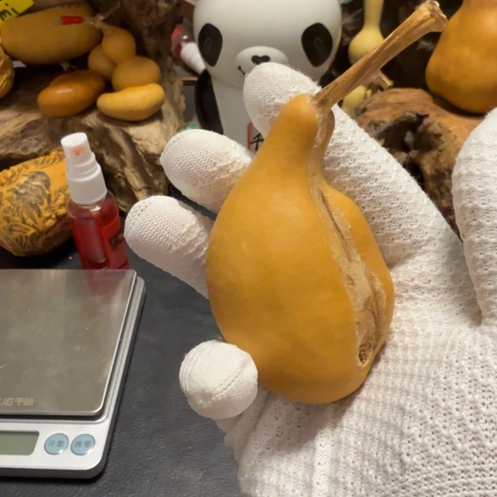 酒***子6………………………………………………