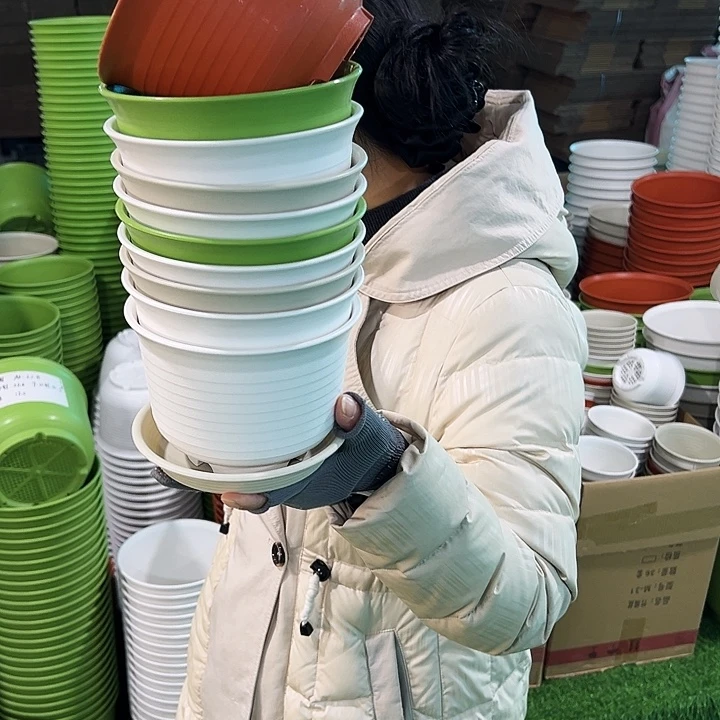 正品矮陶口15高11白色带托10只