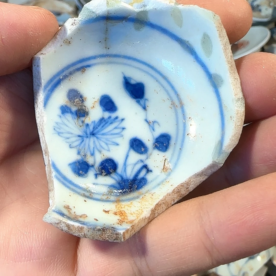 瓷片瓷片标本，顺丰包邮