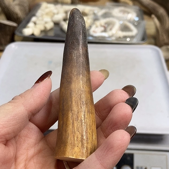 中国大陆鹿角盘玩手把件