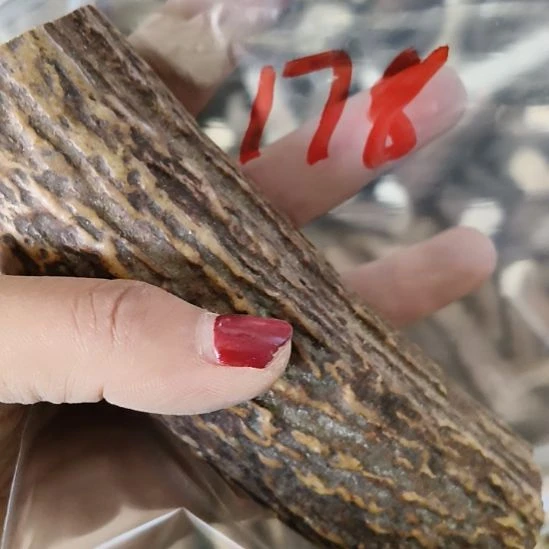 望***墨鹿角鹿角鹿角鹿角鹿角鹿角